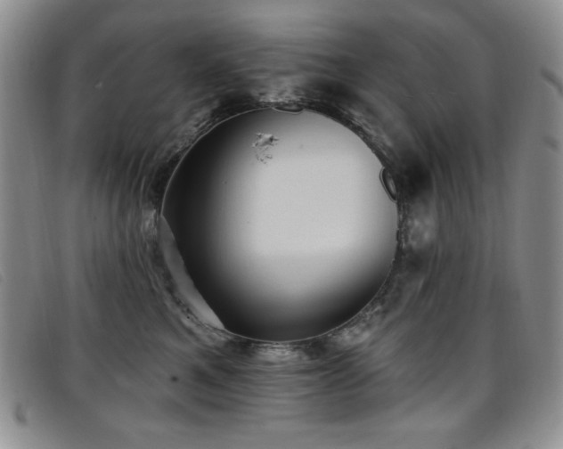 X0000096680521200802051249
