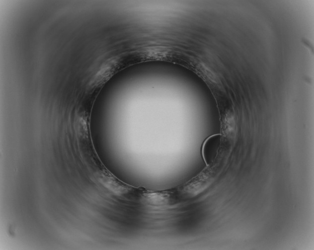 X0000096680522200802051249