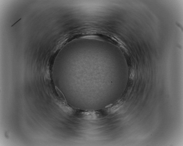 X0000096680524200802051249