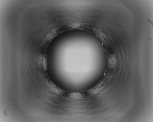 X0000096680525200802051249