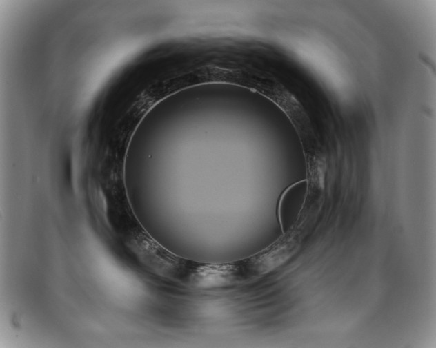 X0000096680526200802051249