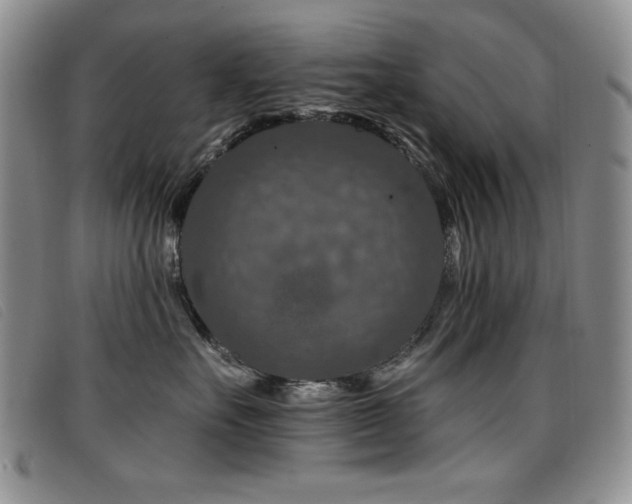 X0000096680527200802051249