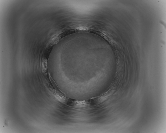 X0000096680528200802051249