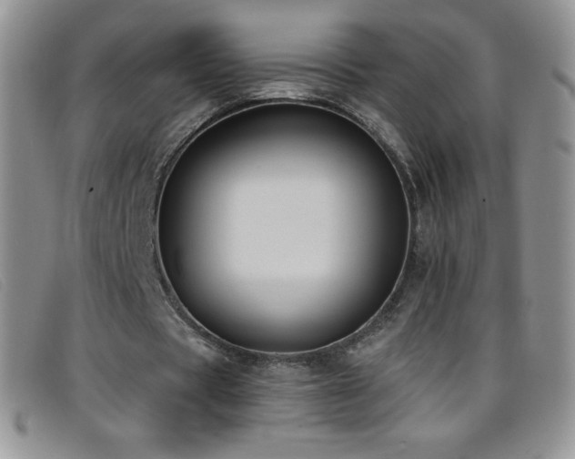 X0000096680529200802051248