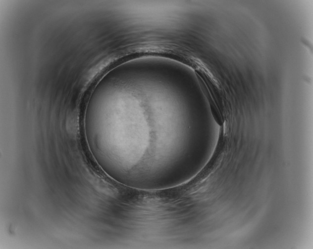 X0000096680531200802051248
