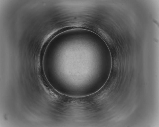 X0000096680532200802051248