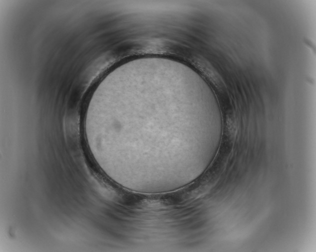 X0000096680534200802051248