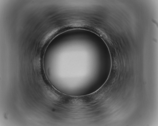 X0000096680535200802051248