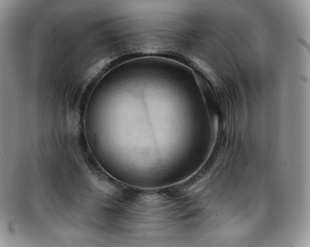 X0000096680540200802051248