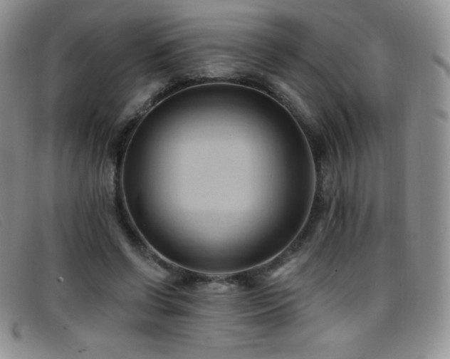 X0000096680542200802051248