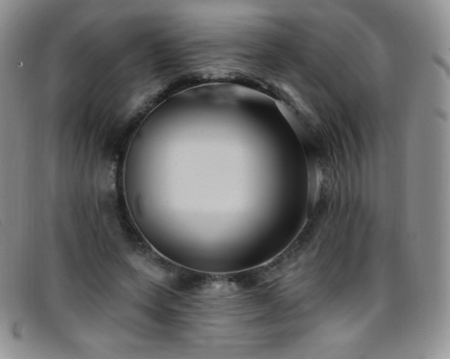 X0000096680543200802051248