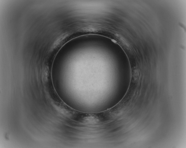 X0000096680544200802051248