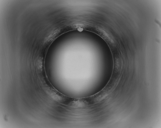 X0000096680545200802051248