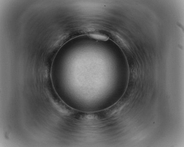 X0000096680546200802051248