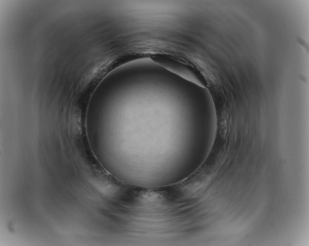 X0000096680547200802051248