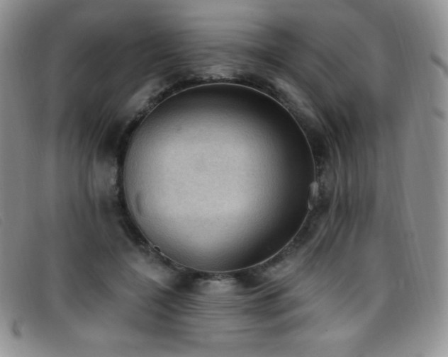 X0000096680548200802051248
