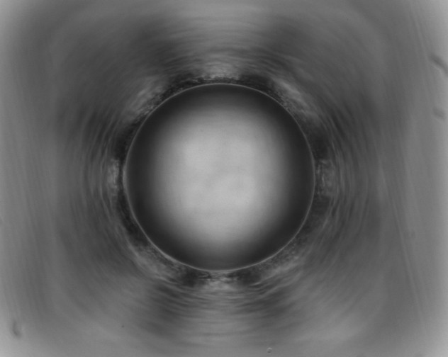 X0000096680550200802051248
