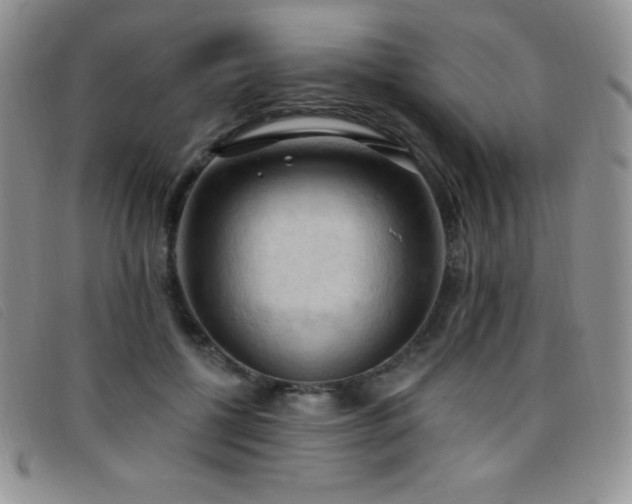 X0000096680552200802051248