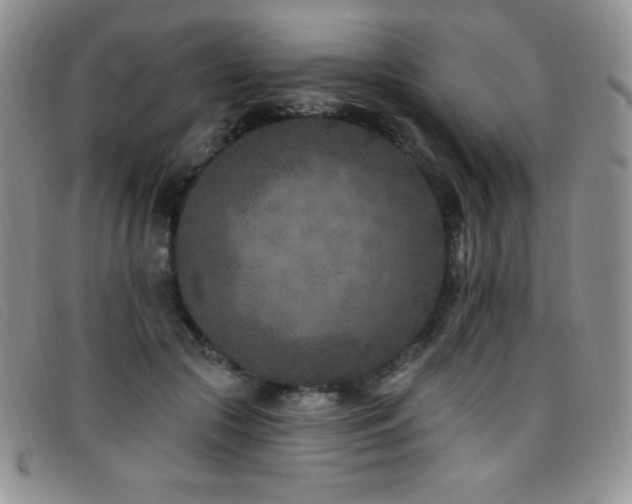X0000096680553200802051248