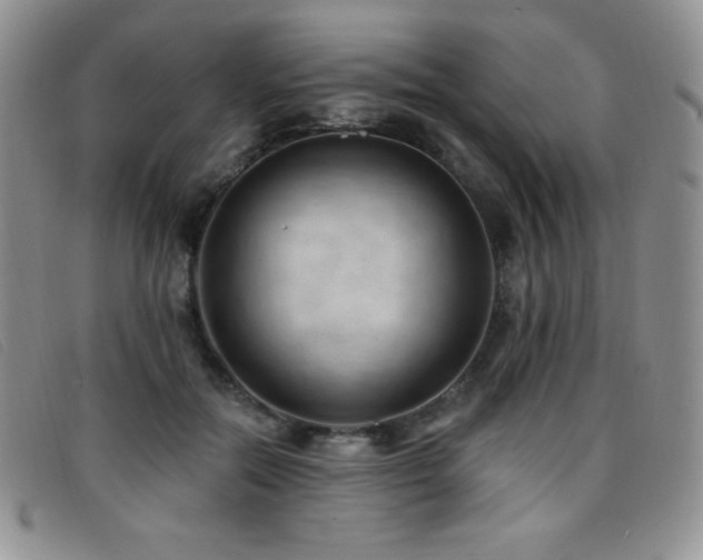 X0000096680554200802051248