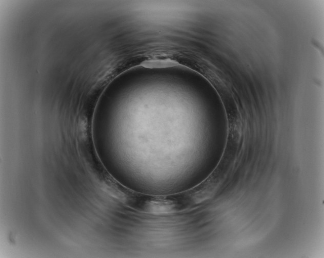 X0000096680556200802051248