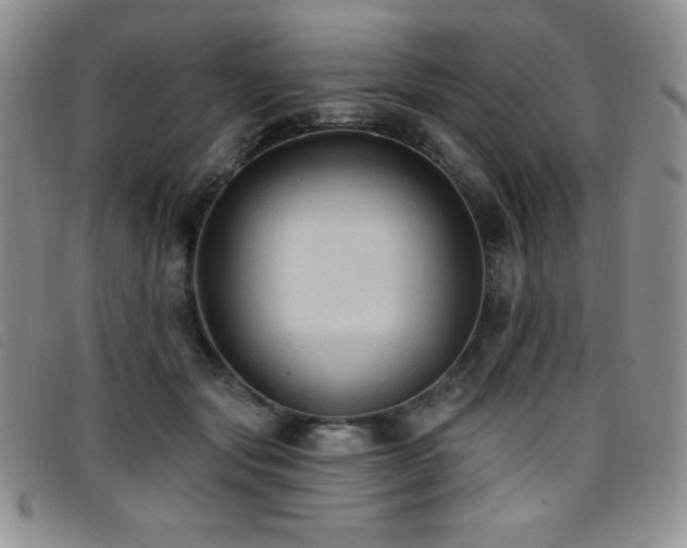 X0000096680557200802051248