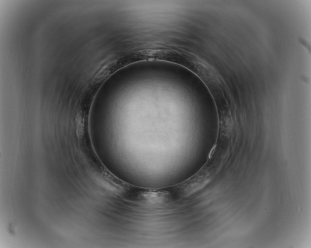 X0000096680558200802051248