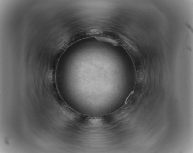 X0000096680560200802051248