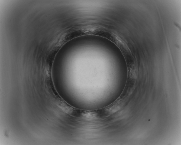 X0000096680561200802051248