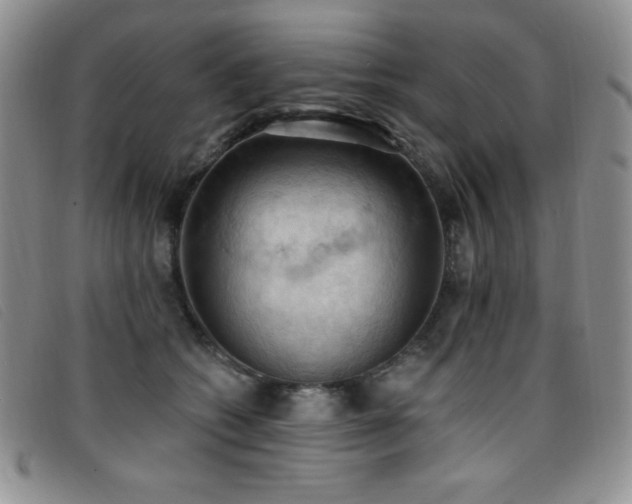 X0000096680562200802051248
