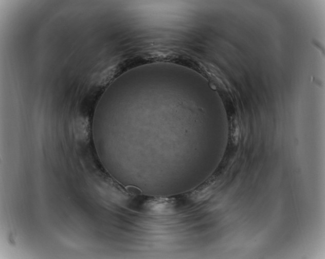X0000096680563200802051248