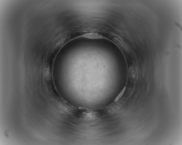 X0000096680564200802051248