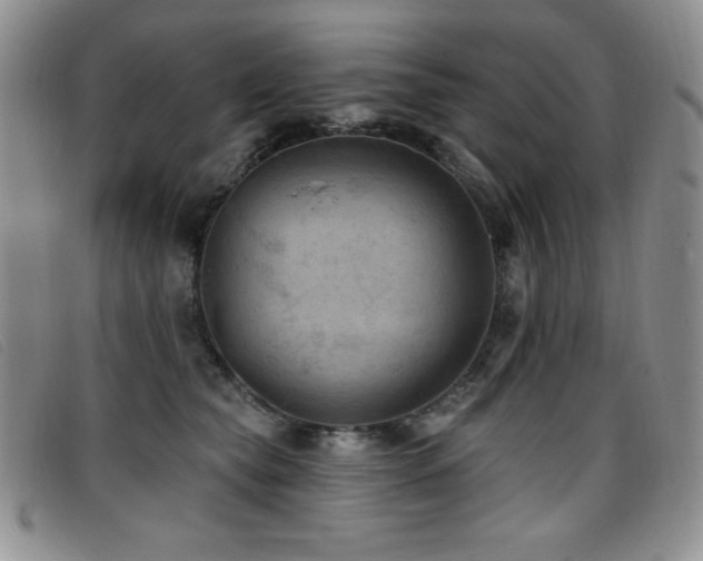 X0000096680565200802051248