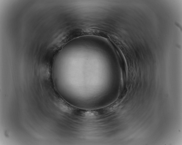 X0000096680566200802051248