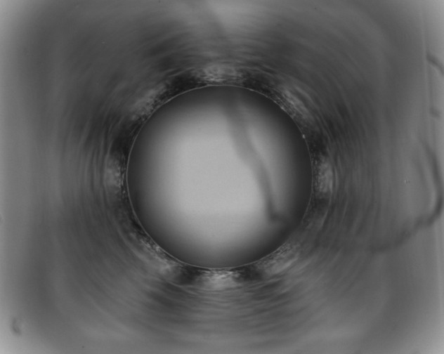 X0000096680569200802051248