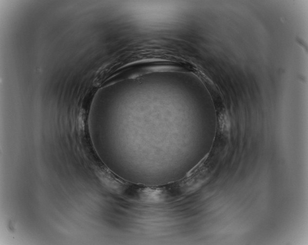 X0000096680570200802051248