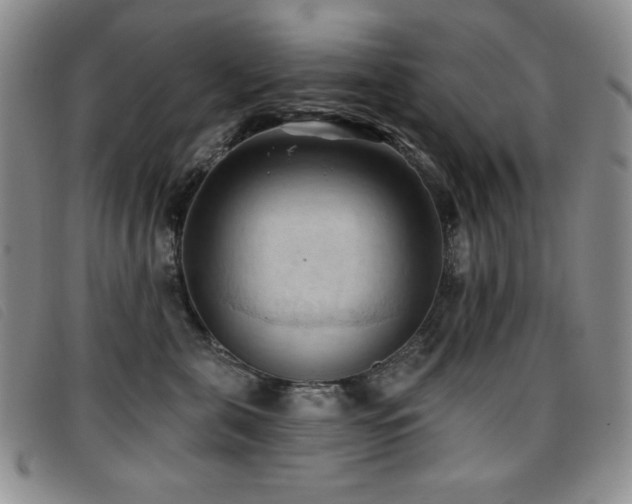 X0000096680571200802051249