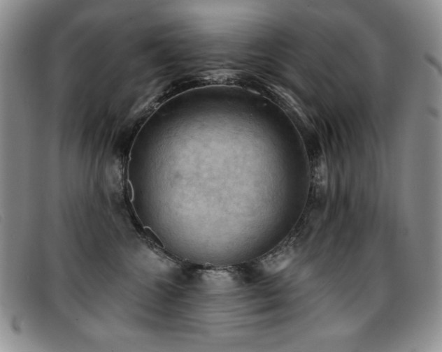 X0000096680572200802051249