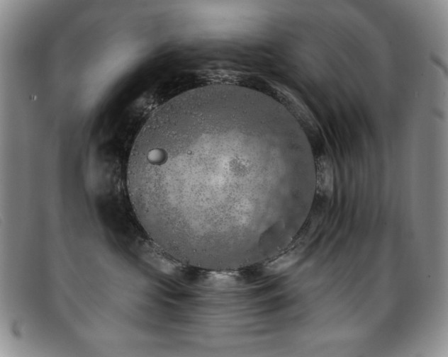 X0000096680573200802051249