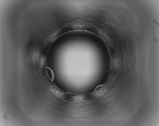 X0000096680574200802051249