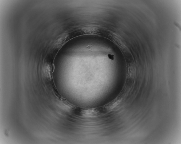 X0000096680575200802051249