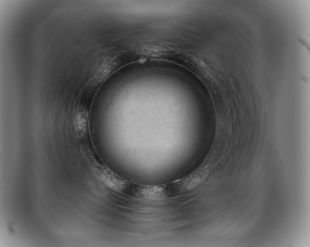X0000096680576200802051249