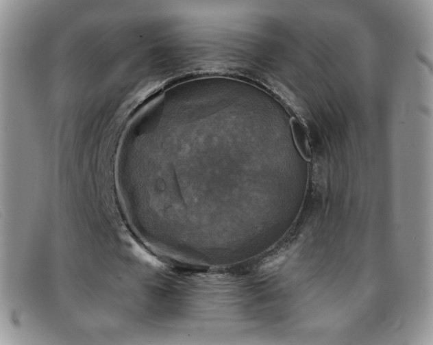 X0000096680577200802051248