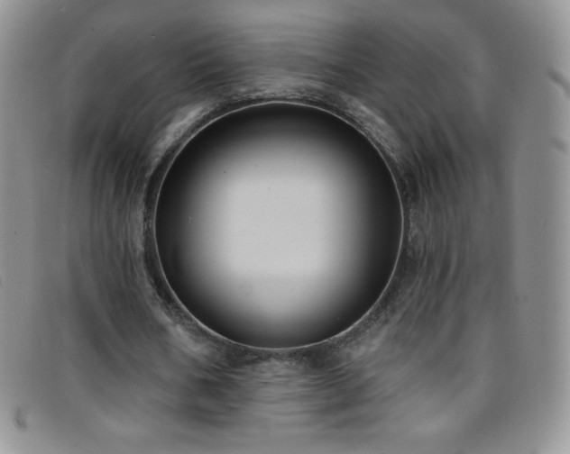 X0000096680578200802051248