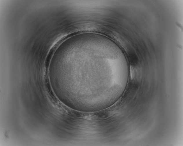 X0000096680579200802051248