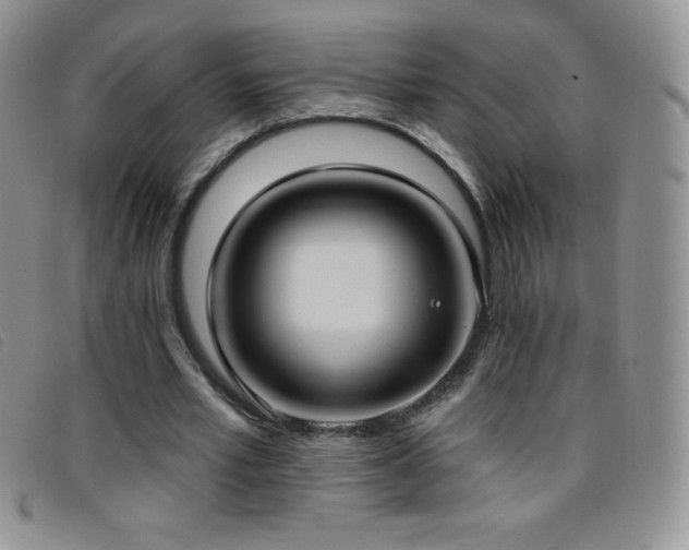 X0000096680581200802051248