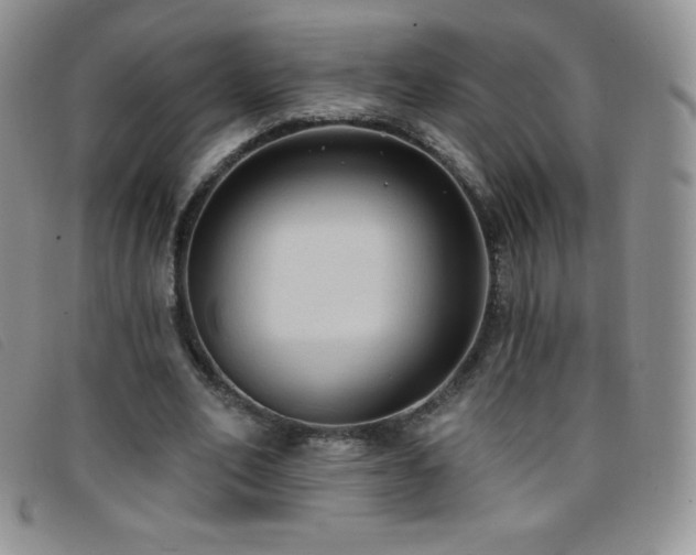 X0000096680582200802051248