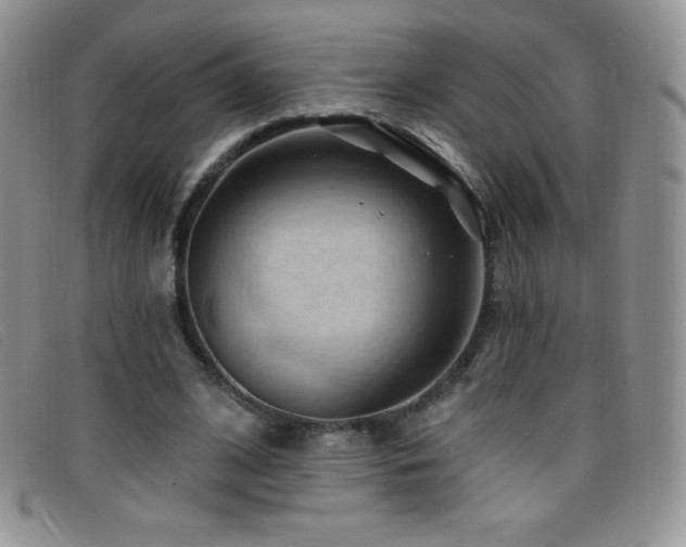 X0000096680584200802051248