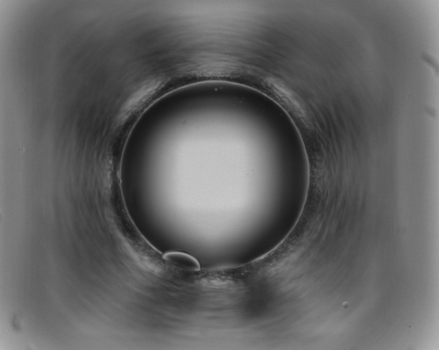 X0000096680586200802051248