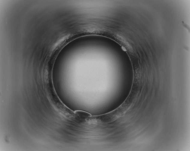 X0000096680587200802051248